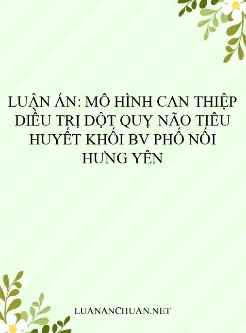 Luận án: Mô hình can thiệp điều trị đột quỵ não tiêu huyết khối BV Phố Nối Hưng Yên