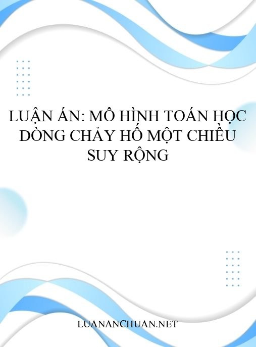 Luận án: Mô hình toán học dòng chảy hố một chiều suy rộng