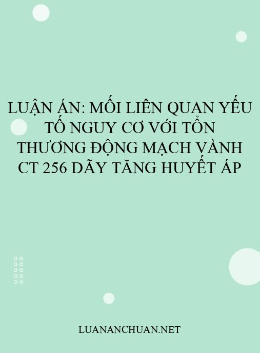 Luận án: Mối liên quan yếu tố nguy cơ với tổn thương động mạch vành CT 256 dãy tăng huyết áp