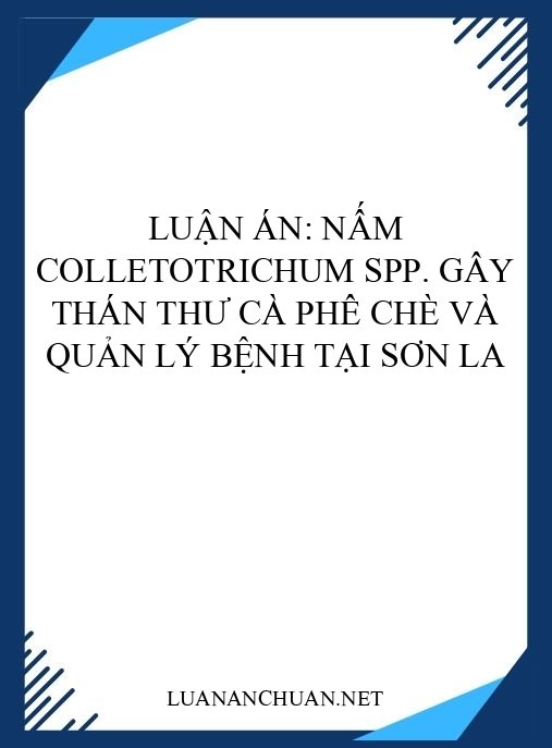 Luận án: Nấm Colletotrichum spp. gây thán thư cà phê chè và quản lý bệnh tại Sơn La