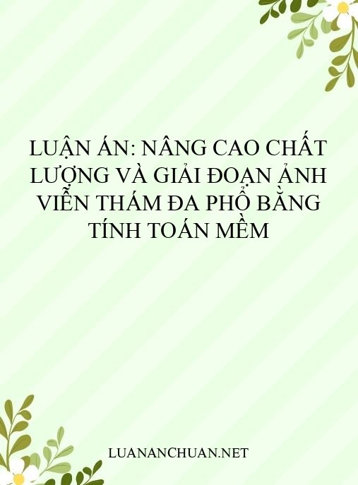 Luận án: Nâng cao chất lượng và giải đoạn ảnh viễn thám đa phổ bằng tính toán mềm