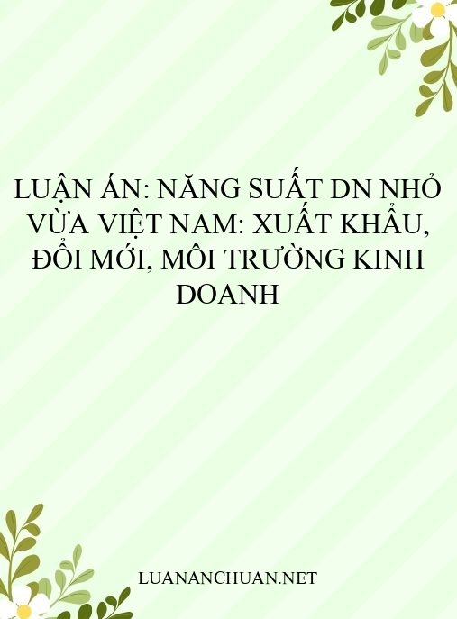 Luận án: Năng suất DN nhỏ vừa Việt Nam: Xuất khẩu, đổi mới, môi trường kinh doanh