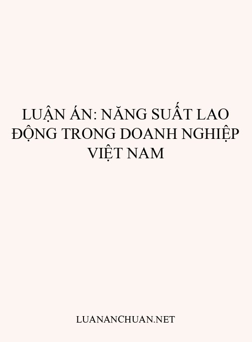 Luận án: Năng suất lao động trong doanh nghiệp Việt Nam