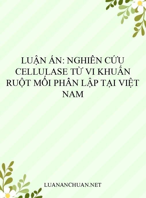 Luận án: Nghiên cứu cellulase từ vi khuẩn ruột mối phân lập tại Việt Nam