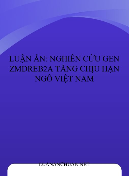 Luận án: Nghiên cứu gen ZmDREB2A tăng chịu hạn ngô Việt Nam