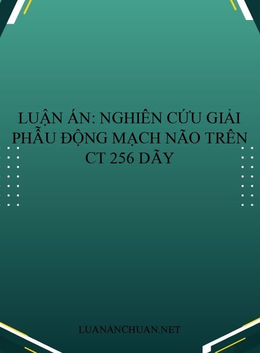 Luận án: Nghiên cứu giải phẫu động mạch não trên CT 256 dãy