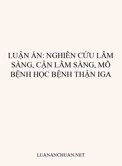 Luận án: Nghiên cứu lâm sàng, cận lâm sàng, mô bệnh học bệnh thận IgA