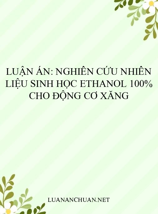 Luận án: Nghiên cứu nhiên liệu sinh học ethanol 100% cho động cơ xăng