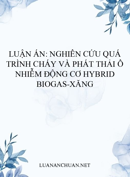 Luận án: Nghiên cứu quá trình cháy và phát thải ô nhiễm động cơ hybrid biogas-xăng