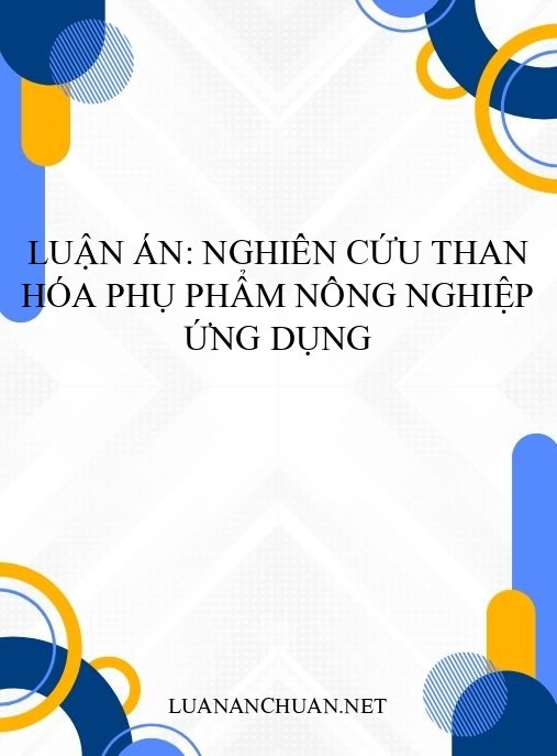Luận án: Nghiên cứu than hóa phụ phẩm nông nghiệp ứng dụng