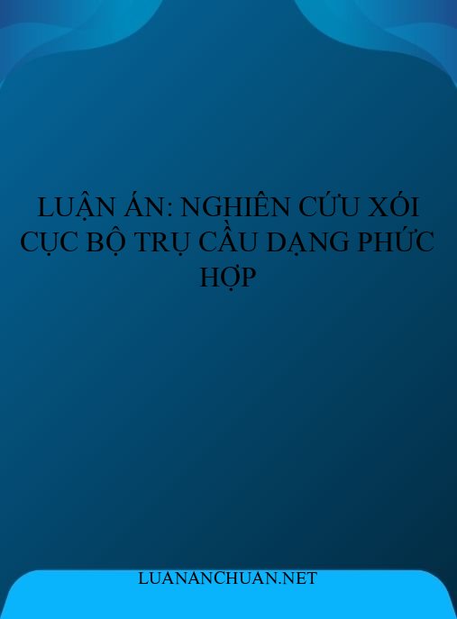 Luận án: Nghiên cứu xói cục bộ trụ cầu dạng phức hợp