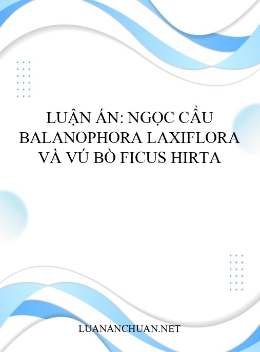 Luận án: Ngọc cẩu Balanophora laxiflora và vú bò Ficus hirta