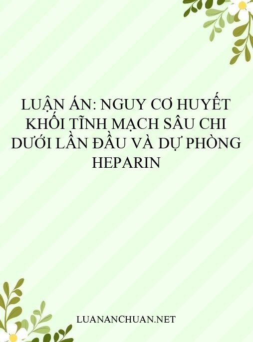 Luận án: Nguy cơ huyết khối tĩnh mạch sâu chi dưới lần đầu và dự phòng Heparin