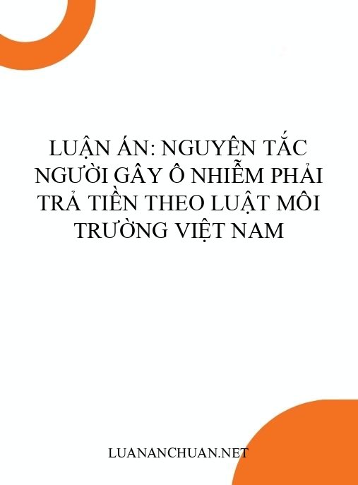 Luận án: Nguyên tắc người gây ô nhiễm phải trả tiền theo luật môi trường Việt Nam