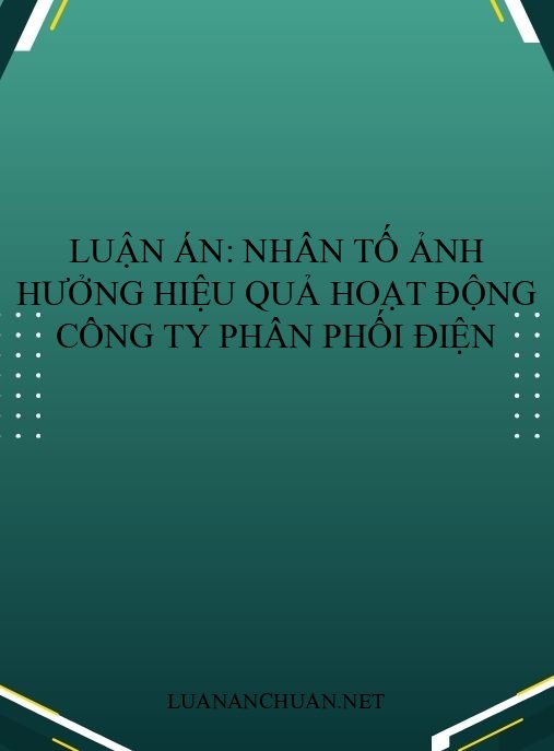 Luận án: Nhân tố ảnh hưởng hiệu quả hoạt động công ty phân phối điện