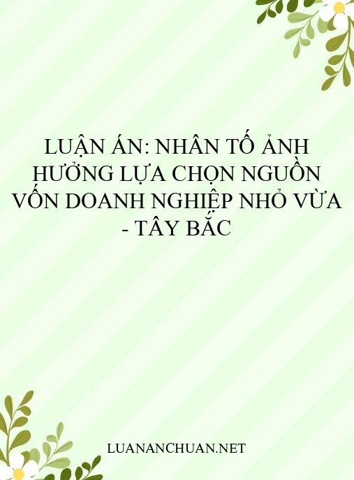 Luận án: Nhân tố ảnh hưởng lựa chọn nguồn vốn doanh nghiệp nhỏ vừa – Tây Bắc