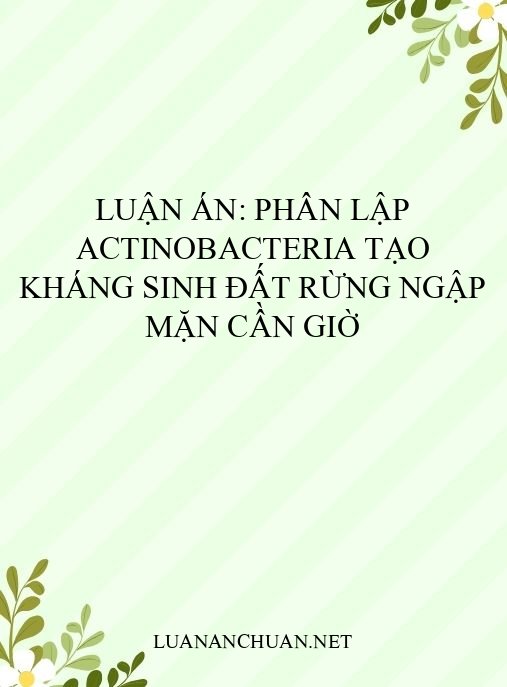 Luận án: Phân lập Actinobacteria tạo kháng sinh đất rừng ngập mặn Cần Giờ