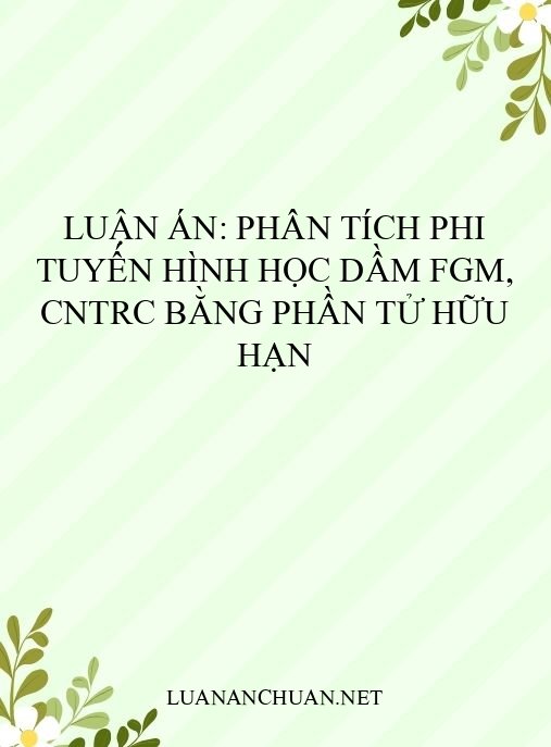 Luận án: Phân tích phi tuyến hình học dầm FGM, CNTRC bằng phần tử hữu hạn