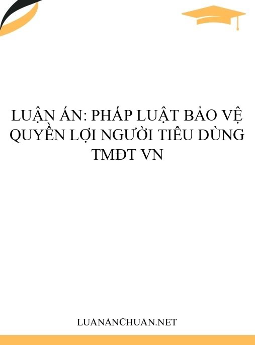 Luận án: Pháp luật bảo vệ quyền lợi người tiêu dùng TMĐT VN