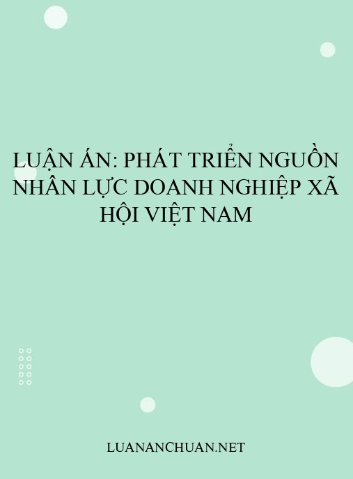 Luận án: Phát triển nguồn nhân lực doanh nghiệp xã hội Việt Nam