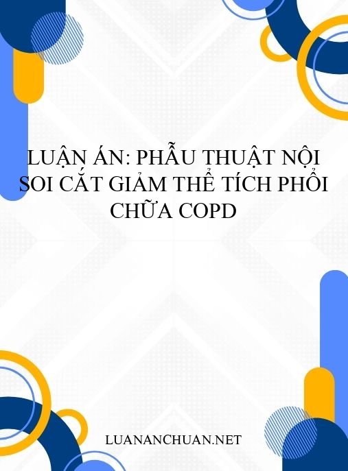 Luận án: Phẫu thuật nội soi cắt giảm thể tích phổi chữa COPD