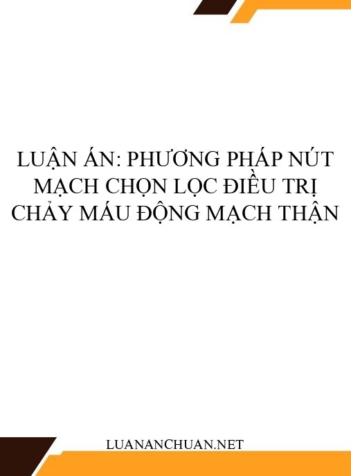 Luận án: Phương pháp nút mạch chọn lọc điều trị chảy máu động mạch thận