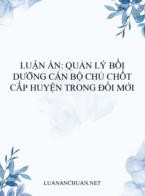 Luận án: Quản lý bồi dưỡng cán bộ chủ chốt cấp huyện trong đổi mới