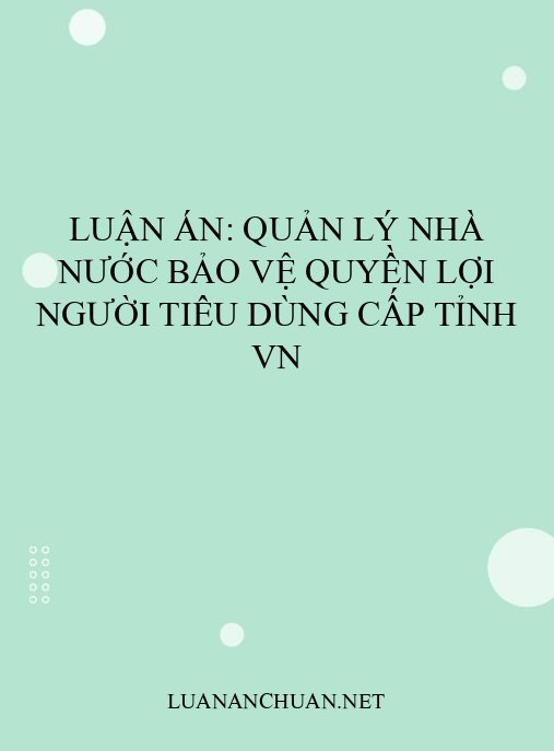 Luận án: Quản lý nhà nước bảo vệ quyền lợi người tiêu dùng cấp tỉnh VN