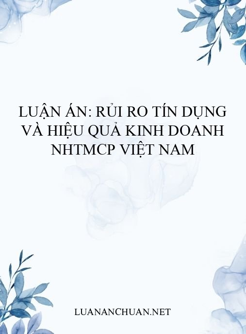 Luận án: Rủi ro tín dụng và hiệu quả kinh doanh NHTMCP Việt Nam