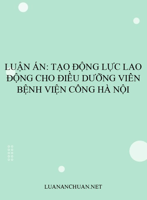 Luận án: Tạo động lực lao động cho điều dưỡng viên bệnh viện công Hà Nội
