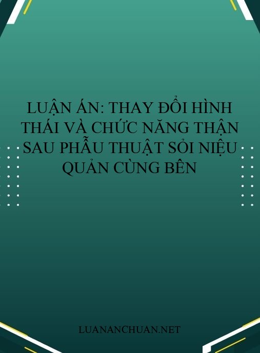 Luận án: Thay đổi hình thái và chức năng thận sau phẫu thuật sỏi niệu quản cùng bên