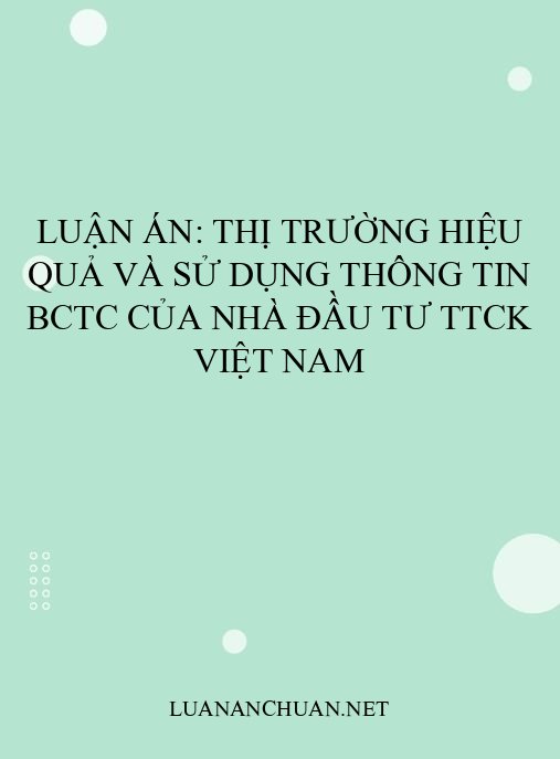 Luận án: Thị trường hiệu quả và sử dụng thông tin BCTC của nhà đầu tư TTCK Việt Nam