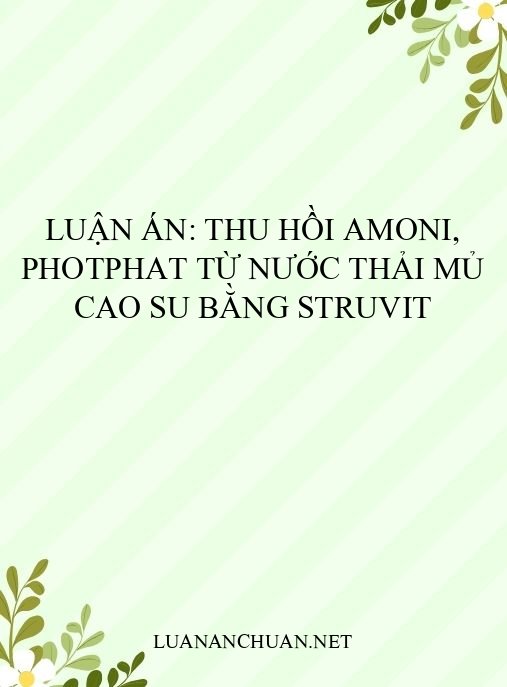 Luận án: Thu hồi amoni, photphat từ nước thải mủ cao su bằng struvit
