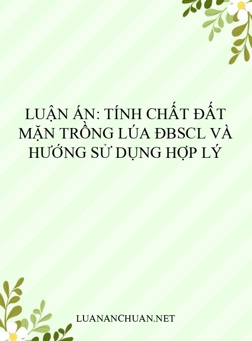 Luận án: Tính chất đất mặn trồng lúa ĐBSCL và hướng sử dụng hợp lý