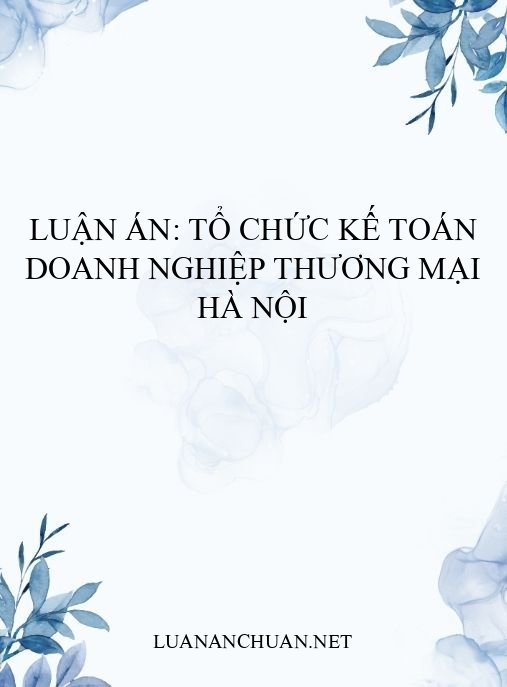 Luận án: Tổ chức kế toán doanh nghiệp thương mại Hà Nội