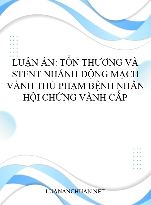 Luận án: Tổn thương và stent nhánh động mạch vành thủ phạm bệnh nhân hội chứng vành cấp