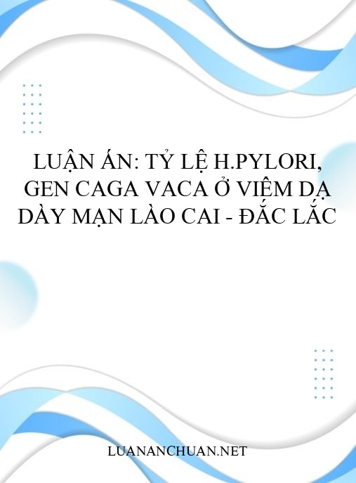 Luận án: Tỷ lệ H.pylori, gen cagA vacA ở viêm dạ dày mạn Lào Cai – Đắc Lắc