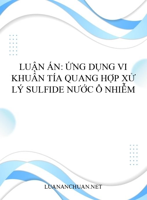 Luận án: Ứng dụng vi khuẩn tía quang hợp xử lý sulfide nước ô nhiễm