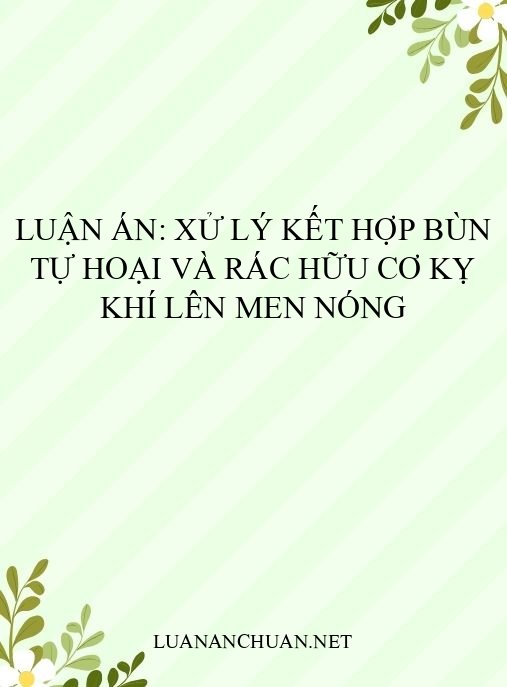 Luận án: Xử lý kết hợp bùn tự hoại và rác hữu cơ kỵ khí lên men nóng