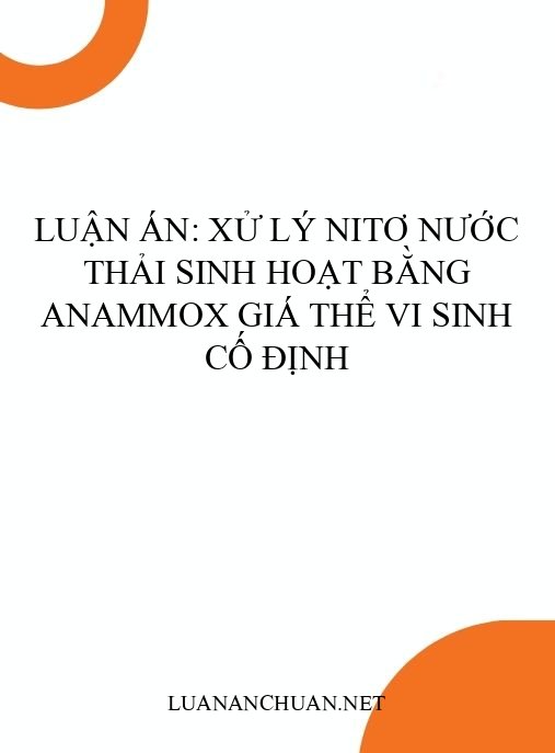 Luận án: Xử lý nitơ nước thải sinh hoạt bằng Anammox giá thể vi sinh cố định
