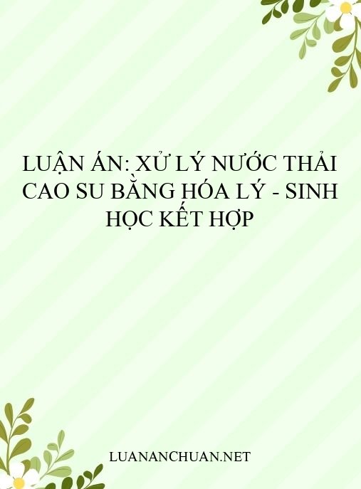 Luận án: Xử lý nước thải cao su bằng hóa lý – sinh học kết hợp