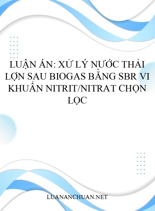 Luận án: Xử lý nước thải lợn sau biogas bằng SBR vi khuẩn nitrit/nitrat chọn lọc