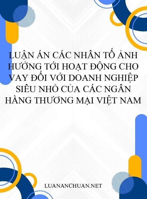 Luận án Các nhân tố ảnh hưởng tới hoạt động cho vay đối với doanh nghiệp siêu nhỏ của các ngân hàng thương mại Việt Nam