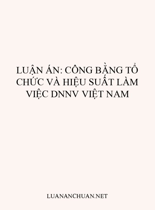 Luận án: Công bằng tổ chức và hiệu suất làm việc DNNV Việt Nam