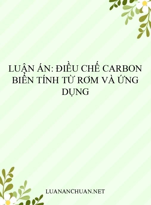 Luận án: Điều chế carbon biến tính từ rơm và ứng dụng