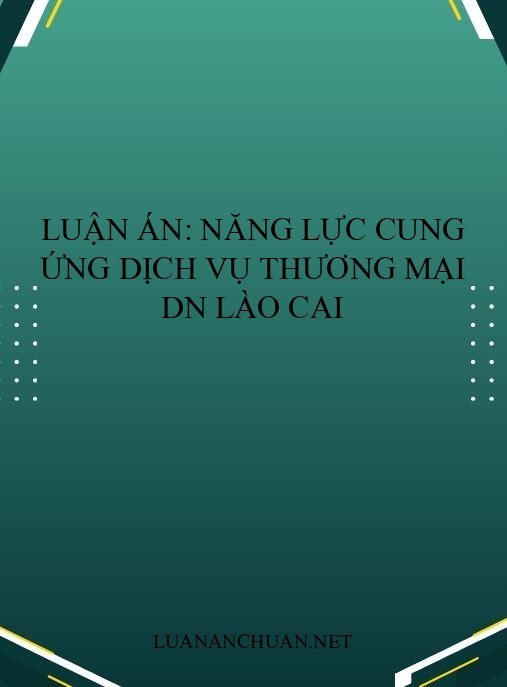 Luận án: Năng lực cung ứng dịch vụ thương mại DN Lào Cai