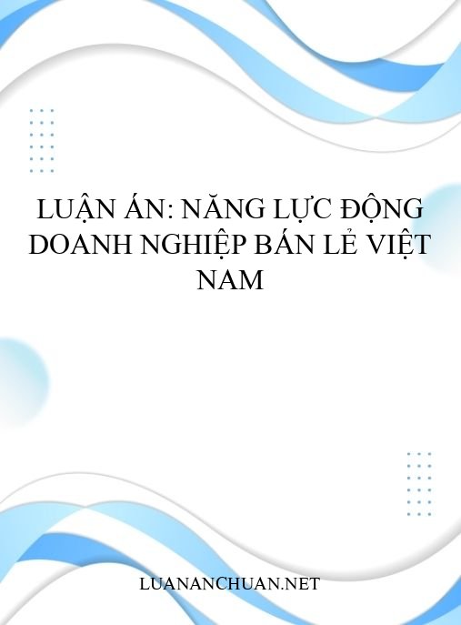 Luận án: Năng lực động doanh nghiệp bán lẻ Việt Nam