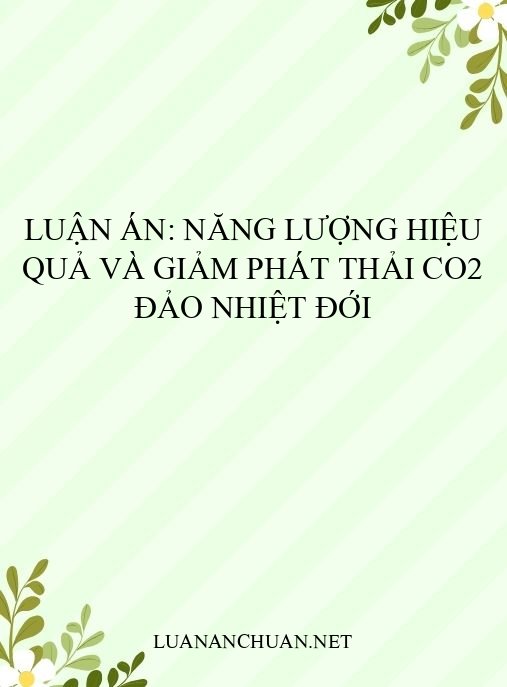 Luận án: Năng lượng hiệu quả và giảm phát thải CO2 đảo nhiệt đới