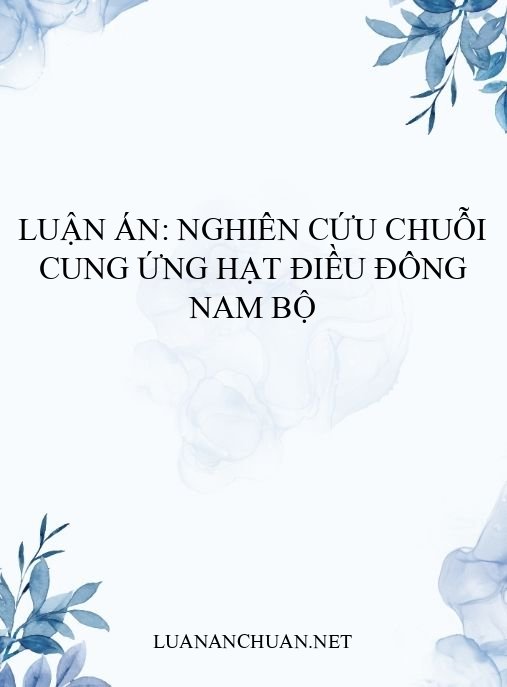 Luận án: Nghiên cứu chuỗi cung ứng hạt điều Đông Nam Bộ