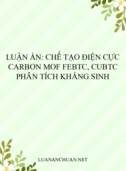 Luận án: Chế tạo điện cực carbon MOF FeBTC, CuBTC phân tích kháng sinh